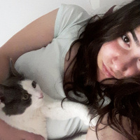 Tekir Kedi, Kedi  Mantar fotoğrafı