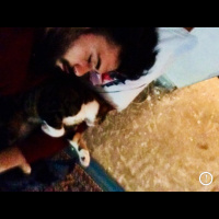 Bengal, Kedi  PİPET fotoğrafı