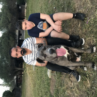 Cane Corso Italiano, Köpek  Zeus fotoğrafı