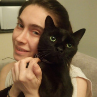 Bombay, Kedi  Gece fotoğrafı