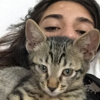Soke, Kedi  Osman fotoğrafı