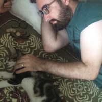 Tekir Kedi, Kedi  Bihter fotoğrafı