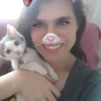 Tekir Kedi, Kedi  SHERLOCK fotoğrafı