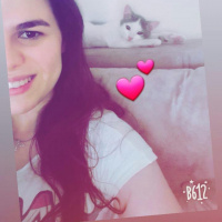 Tekir Kedi, Kedi  SHERLOCK fotoğrafı