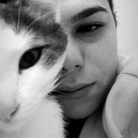 Tekir Kedi, Kedi  SHERLOCK fotoğrafı