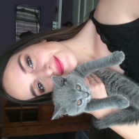 British Shorthair, Kedi  Mia fotoğrafı