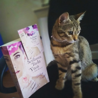 Tekir Kedi, Kedi  Ponçik fotoğrafı