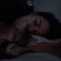 Tekir Kedi, Kedi  Hypatia fotoğrafı
