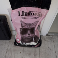 Tekir Kedi, Kedi  duman fotoğrafı