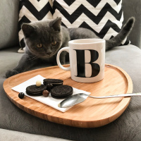 British Shorthair, Kedi  Barni fotoğrafı