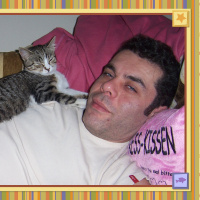 Tekir Kedi, Kedi  Soda fotoğrafı
