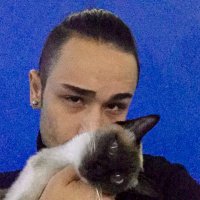Siyam Kedisi, Kedi  Cindy fotoğrafı