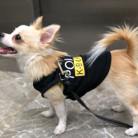 Chihuahua, Köpek  Tyson fotoğrafı