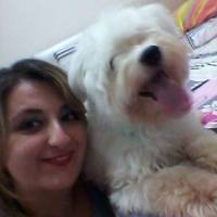 Maltese, Köpek  Lucky fotoğrafı