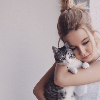 Tekir Kedi, Kedi  Furby fotoğrafı