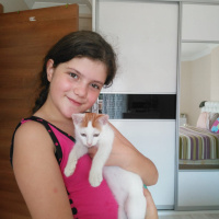 Tekir Kedi, Kedi  Mirmir fotoğrafı