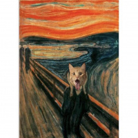 Tekir Kedi, Kedi  Dante fotoğrafı