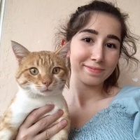 Tekir Kedi, Kedi  Dante fotoğrafı