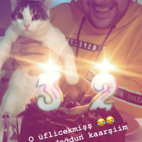 Tekir Kedi, Kedi  Minik fotoğrafı