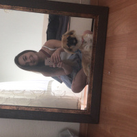 Pekingese, Köpek  Kinda fotoğrafı