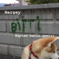 Akita İnu, Köpek  Akamaru fotoğrafı