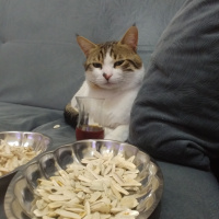 Soke, Kedi  Şimi fotoğrafı