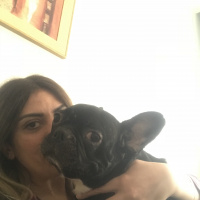 Fransız Bulldog, Köpek  Sheba Ateş fotoğrafı