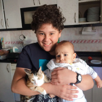 Tekir Kedi, Kedi  Mırmırsu fotoğrafı
