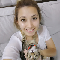 Tekir Kedi, Kedi  Mişa fotoğrafı