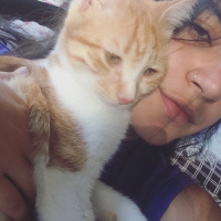 Tekir Kedi, Kedi  Mişa fotoğrafı