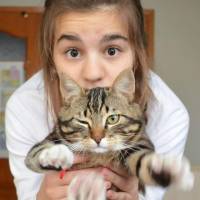 Tekir Kedi, Kedi  Zeytin  fotoğrafı