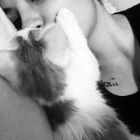 Van Kedisi, Kedi  Leo fotoğrafı