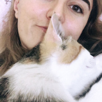 Tekir Kedi, Kedi  Prenses fotoğrafı