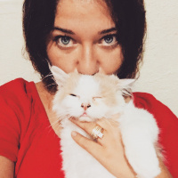 Chinchilla, Kedi  Mia ve bella fotoğrafı