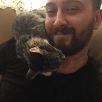 Tekir Kedi, Kedi  Mia fotoğrafı