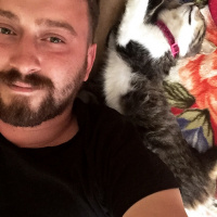 Tekir Kedi, Kedi  Mia fotoğrafı