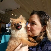 Pomeranyalı, Köpek  Bella BAMBİNA fotoğrafı