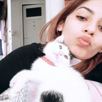 Sarman, Kedi  Misa fotoğrafı