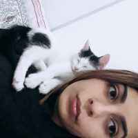 Sarman, Kedi  Misa fotoğrafı