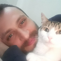 Tekir Kedi, Kedi  Gece fotoğrafı