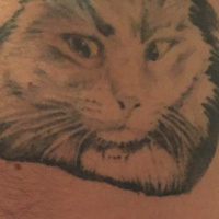Mavi Rus, Kedi  Duman fotoğrafı