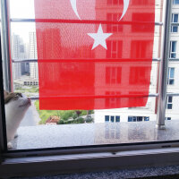 Tekir Kedi, Kedi  Prenses fotoğrafı