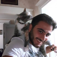 Tekir Kedi, Kedi  Minnoş fotoğrafı