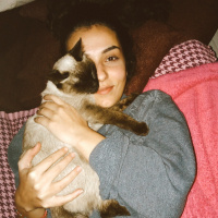 Siyam Kedisi, Kedi  Mathilda fotoğrafı