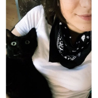 Bombay, Kedi  Karamel fotoğrafı