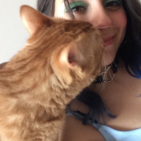 Sarman, Kedi  Chucky fotoğrafı