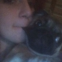 Pug, Köpek  mathilda fotoğrafı