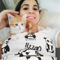 Sarman, Kedi  paşa fotoğrafı
