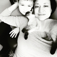 Siyam Kedisi, Kedi  kasper fotoğrafı