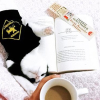 Tekir Kedi, Kedi  Mila fotoğrafı